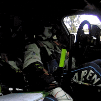 Angry Game Over GIF by FIA European Rally Championship