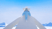 Polar Bear Power GIF by Pokémon