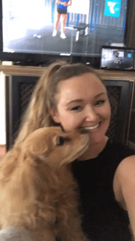 chloerodgers giphygifmaker GIF