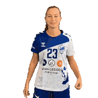 HBCLivry-Gargan handball hb senior hbc Sticker