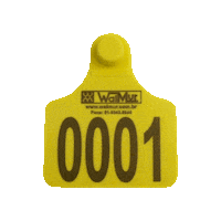 Bovinos Identificação Sticker by Walmur