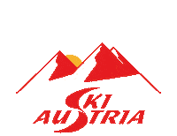 Racing Race Sticker by Ski Austria