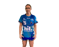 Handball Bsv Sticker by Handball-Marketing Buxtehude