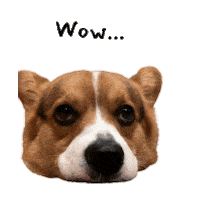 Milo_SiliconValley dog wow boring corgi Sticker