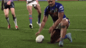 Nrl Keyboard Warrior GIF