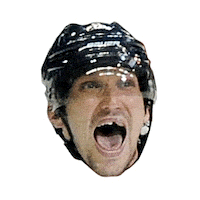 Happy National Hockey League Sticker by NHL