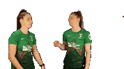 Northern Ireland Football Sticker by Glentoran Women FC