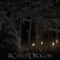 game of thrones hbo GIF by Catch Drogon