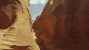 grand staircase GIF by Earthjustice