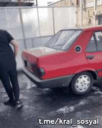 Köpek GIF by Kral Sosyal