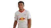 Tyler Adams Thank You Sticker by RB Leipzig