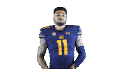 Uc Berkeley Go Bears Sticker by Cal Athletics