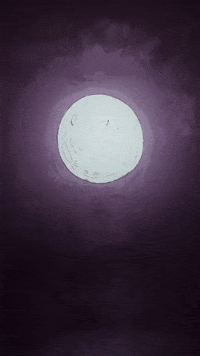 Wilson Dont Starve GIF by Youtooz