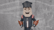 See Ya Reaction GIF by New England Patriots
