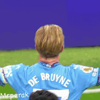 Premier League Fans GIF