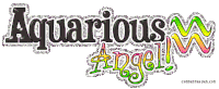 Aquarius Season Sticker