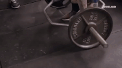 work out GIF by F*CK, THAT'S DELICIOUS