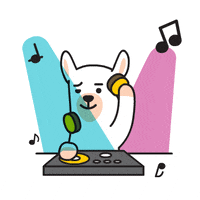 Dj 신남 GIF by kb.financialgroup