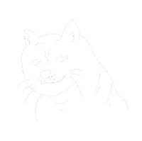 Dogecoin Sticker