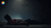 Tv Show Movie GIF by Show TV