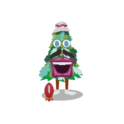 College Football Happy Dance GIF by Wells Fargo