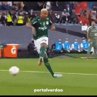 Fla Sep GIF