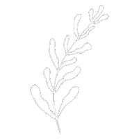 Plant Based Sticker