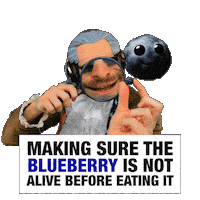 Blueberry Sticker