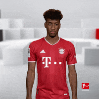 Happy Football GIF by Bundesliga