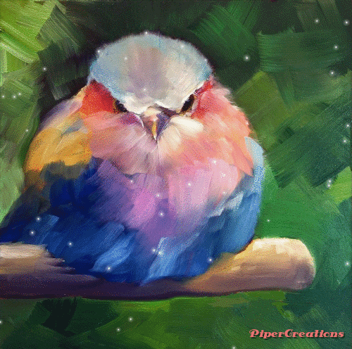 Pipercreations Bird Color Nature Art Oilpainting Gifs GIF