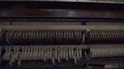 Water Artist GIF by Annalise Azadian