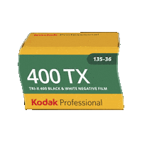 Film Photography Sticker by Kodak Professional