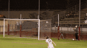 Santa Clara University Sc GIF by Santa Clara Broncos