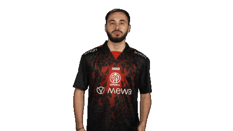 Mainz 05 Football Sticker by Bundesliga