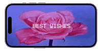 Good Morning Sticker by PEEKASSO