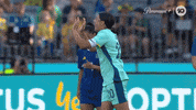 High Five Sport GIF by Football Australia