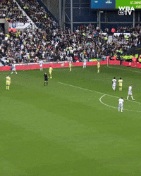 West Brom Football GIF by West Bromwich Albion