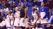 rockchalk GIF by Kansas Athletics