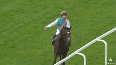 Celebrate Horse Racing GIF by Ascot Racecourse