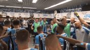 libertadores GIF by Grêmio