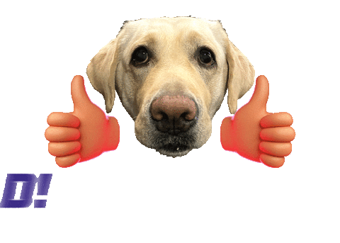 Gojia Sticker by Facebook APAC Creator Day