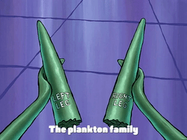 season 3 missing identity GIF by SpongeBob SquarePants