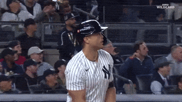 Yell New York Yankees GIF by MLB