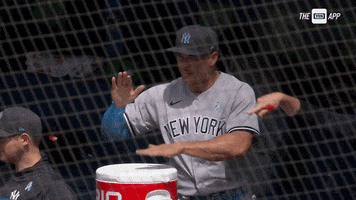 Happy New York Yankees GIF by YES Network