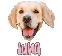 Dog Luna Sticker