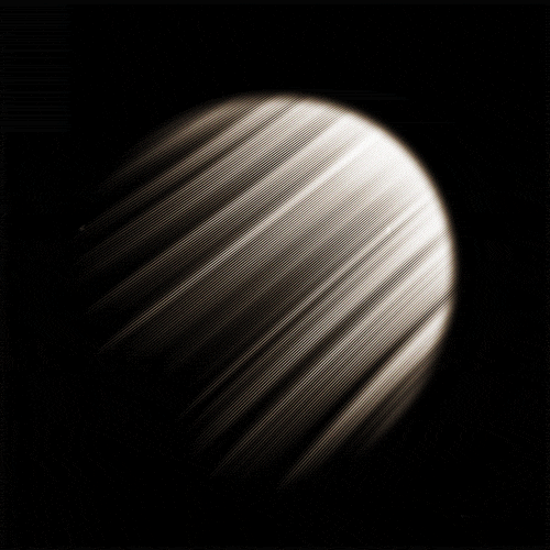 black and white gif artist GIF by Erica Anderson