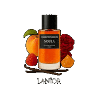 Amber Citrus Sticker by Lanior