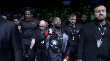 Mixed Martial Arts Sport GIF by UFC