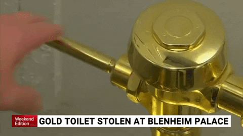 tasneemdaviesnazari giphygifmaker gold toilet stolen GIF