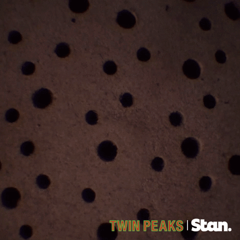 twin peaks GIF by Stan.